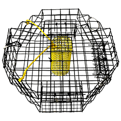 thumbnail image 2 of KUFA SPORTS Stainless Steel Crab Trap – CT100 – 30x10 Cm – Ready To Use 2 of 3